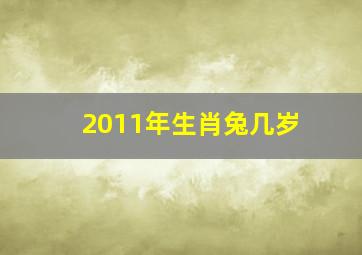 2011年生肖兔几岁