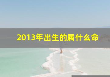 2013年出生的属什么命