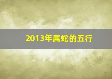 2013年属蛇的五行