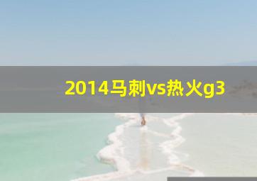 2014马刺vs热火g3