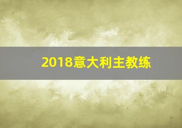 2018意大利主教练