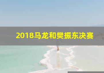 2018马龙和樊振东决赛