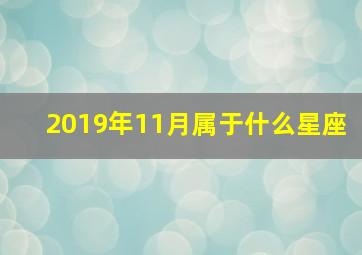 2019年11月属于什么星座