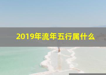 2019年流年五行属什么