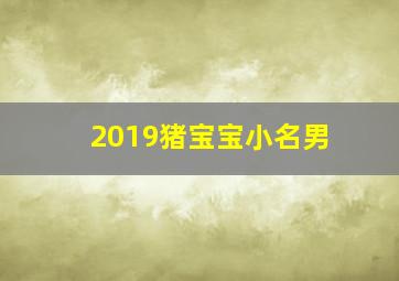 2019猪宝宝小名男