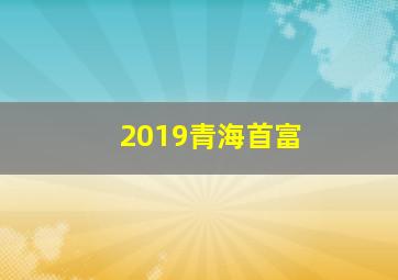 2019青海首富