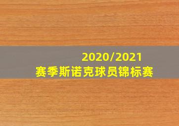 2020/2021赛季斯诺克球员锦标赛