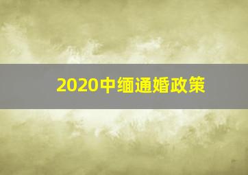 2020中缅通婚政策