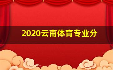 2020云南体育专业分