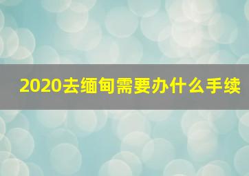 2020去缅甸需要办什么手续