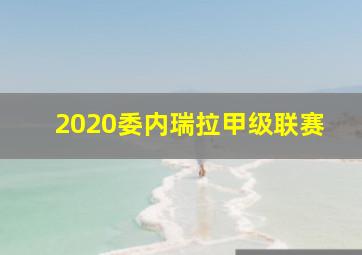 2020委内瑞拉甲级联赛