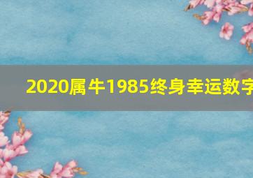 2020属牛1985终身幸运数字