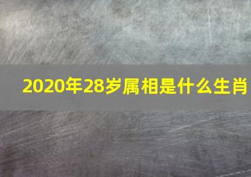 2020年28岁属相是什么生肖