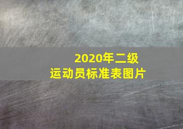 2020年二级运动员标准表图片