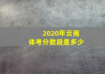 2020年云南体考分数段是多少