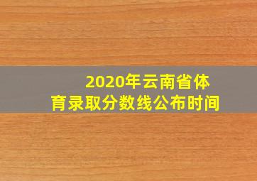 2020年云南省体育录取分数线公布时间