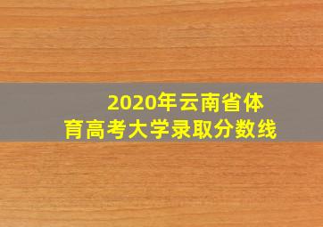 2020年云南省体育高考大学录取分数线