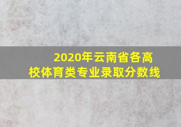 2020年云南省各高校体育类专业录取分数线