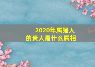 2020年属猪人的贵人是什么属相