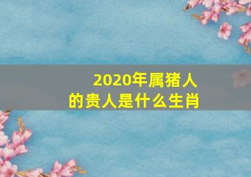 2020年属猪人的贵人是什么生肖