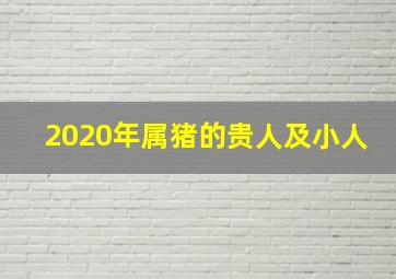 2020年属猪的贵人及小人