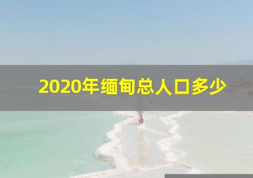 2020年缅甸总人口多少