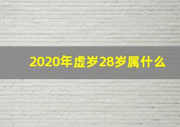 2020年虚岁28岁属什么