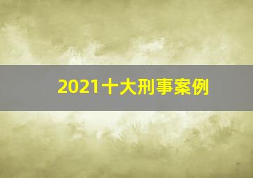 2021十大刑事案例