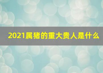 2021属猪的重大贵人是什么