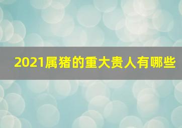 2021属猪的重大贵人有哪些