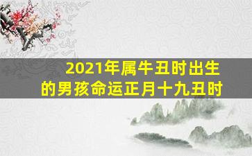 2021年属牛丑时出生的男孩命运正月十九丑时