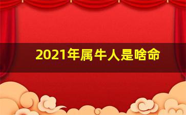 2021年属牛人是啥命