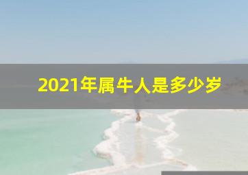 2021年属牛人是多少岁