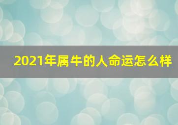 2021年属牛的人命运怎么样