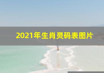 2021年生肖灵码表图片