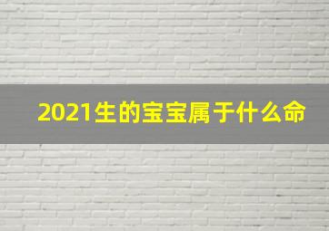 2021生的宝宝属于什么命