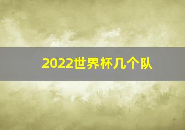 2022世界杯几个队