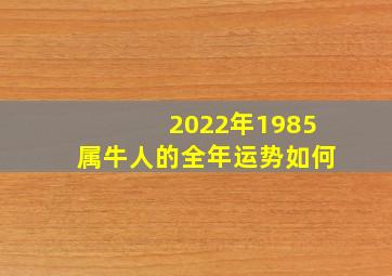 2022年1985属牛人的全年运势如何