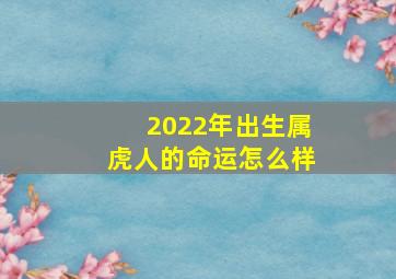 2022年出生属虎人的命运怎么样