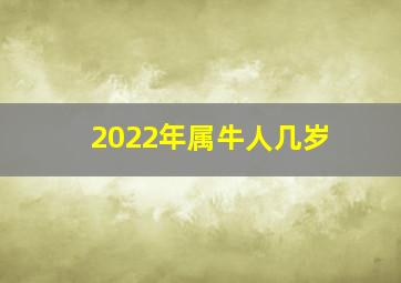 2022年属牛人几岁