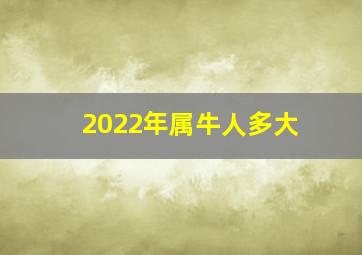 2022年属牛人多大