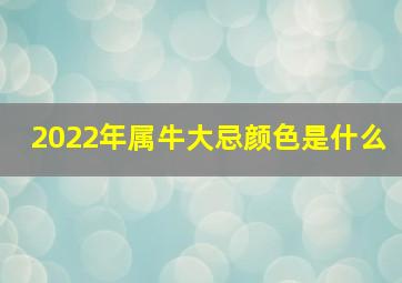 2022年属牛大忌颜色是什么