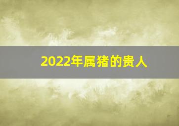 2022年属猪的贵人