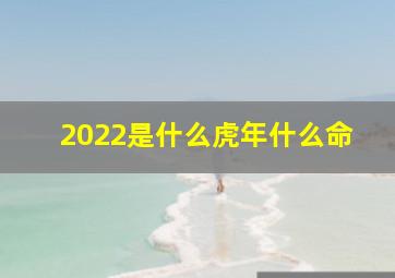 2022是什么虎年什么命