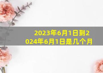 2023年6月1日到2024年6月1日是几个月