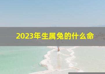 2023年生属兔的什么命