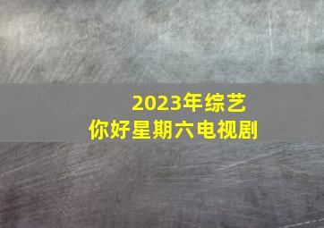 2023年综艺你好星期六电视剧