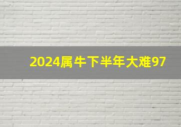 2024属牛下半年大难97