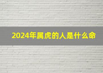 2024年属虎的人是什么命