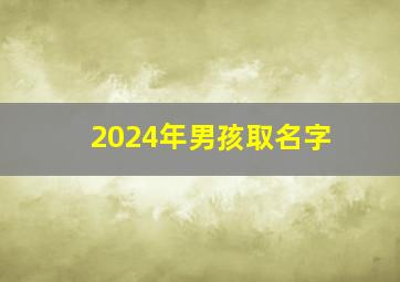 2024年男孩取名字